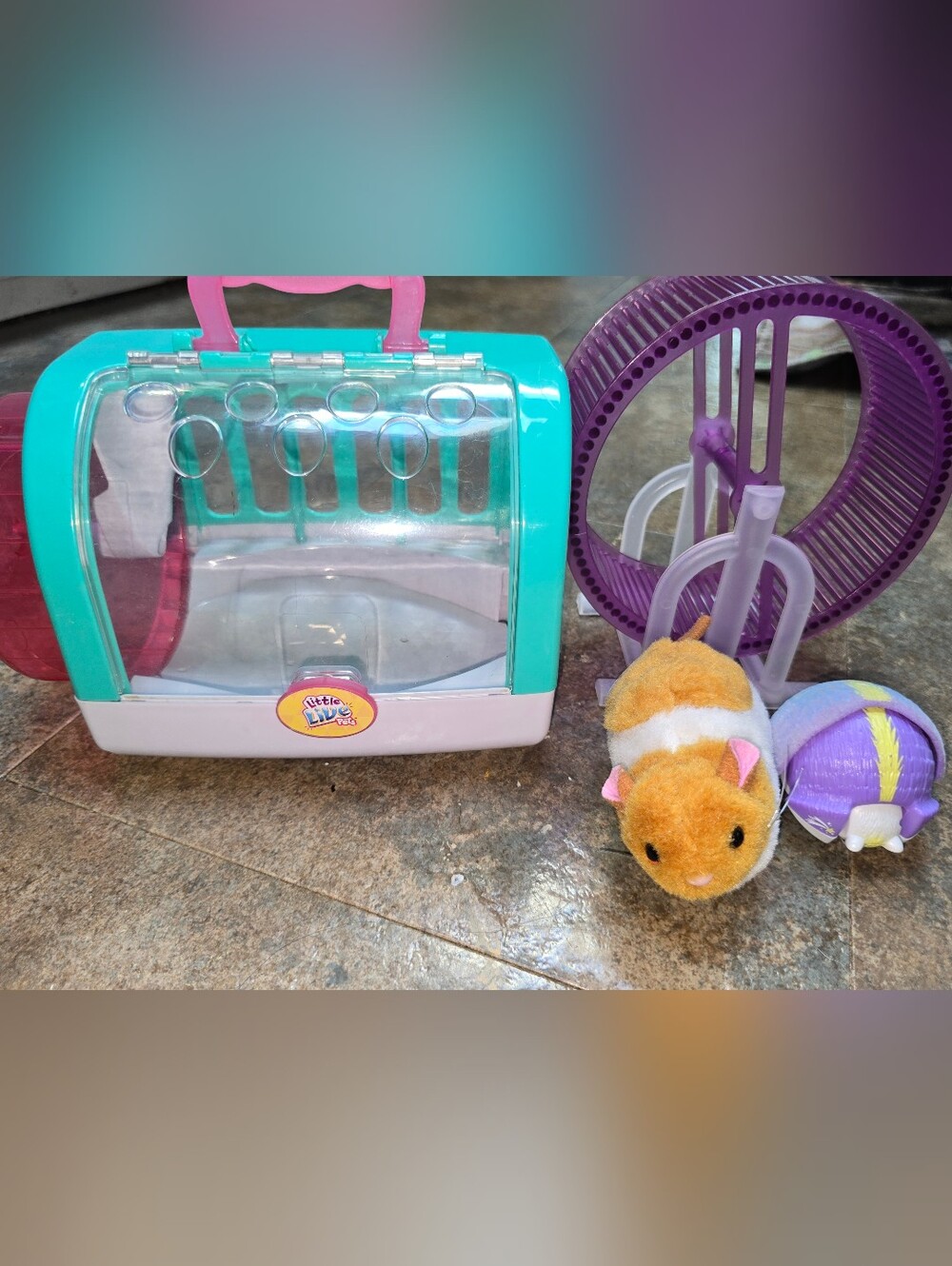 Little Live Pets Hedgehog Toy, hamster, carrier, and wheel